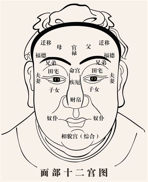 羅漢眉 面相|羅漢眉面相圖解